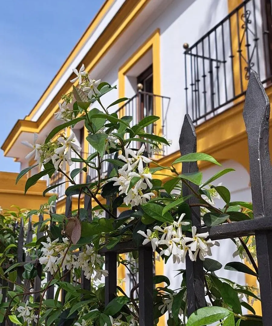 Villa Marcel contacts